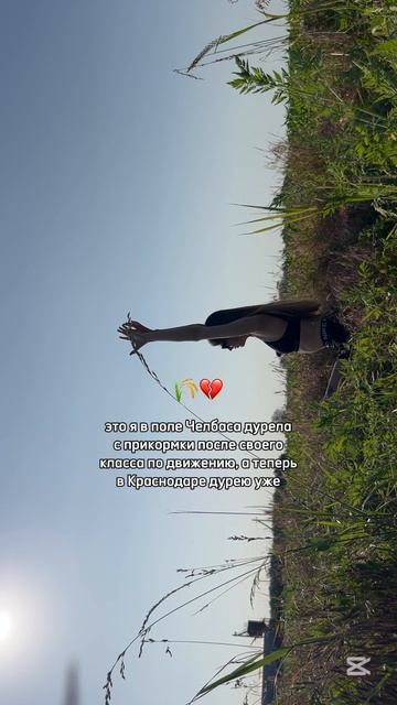 Псс: классы по движению онлайн - открытый доступ 

Краснодар офлайн Парк Галицкого - персонально