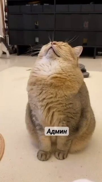Всё под контролем!