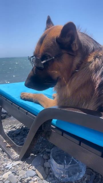 😎🎉🌊☀️🌴
