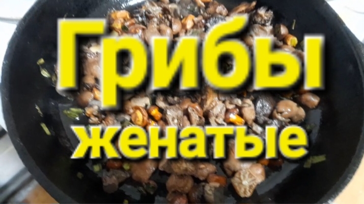 Грибы женатые