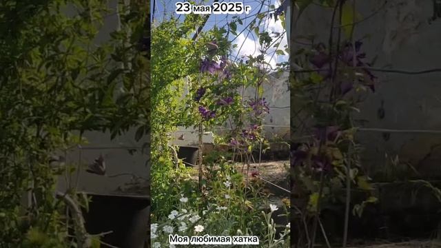 2025 май 23 Любимая хатка