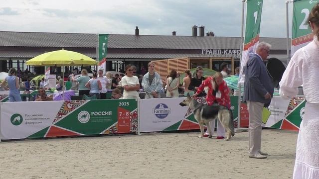 Класс юниоров