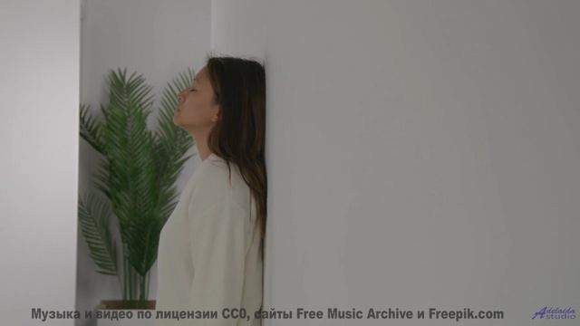 Эта мелодия делает мир ещё прекраснее - P Flunked Funk -- Podington Bear -- Haplessly Happy (Box Set