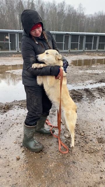 ХЛОЮШКА… руки опускаются