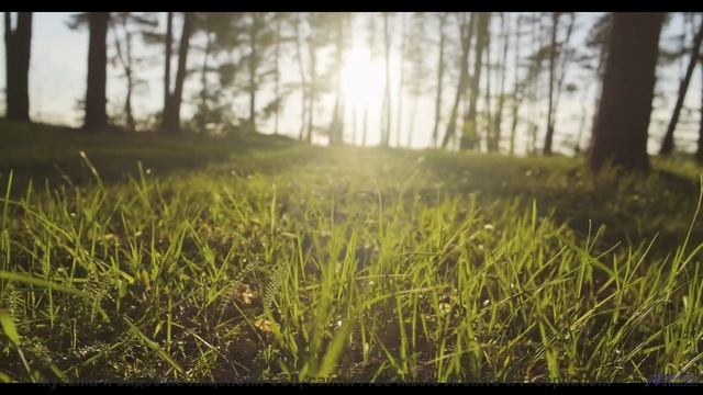 Клип, созданный на суперкомпьютере - потрясающе или пугающе - Ghost Walking -- Kirk Osamayo -- Seaso
