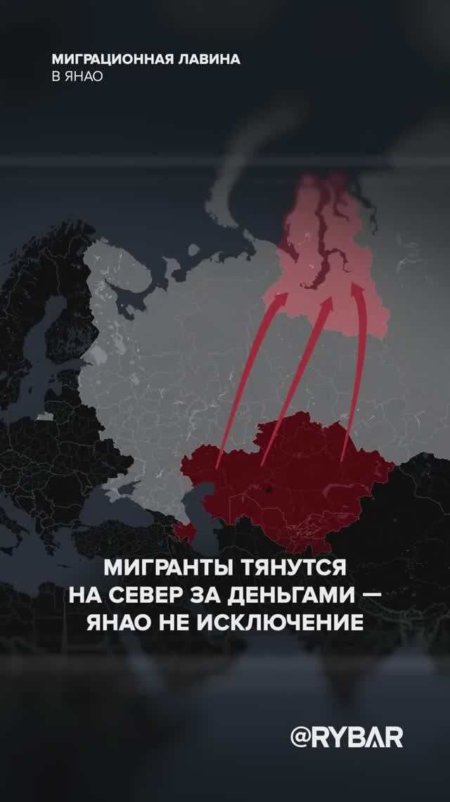 Многонациональный автономный округ: О миграционной ситуации в ЯНАО