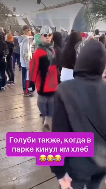 Танец голубей!
