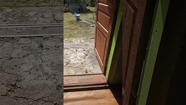 1000110132.mp4