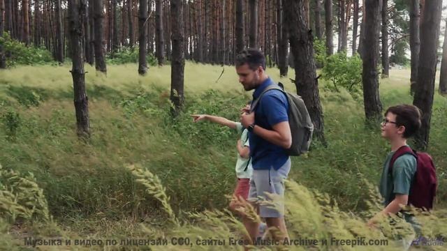 Трек переносит туда, куда самолёты не долетают - The Quiet Sound Of Disappearing -- Taylor Poe -- Qu