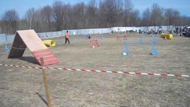 Вентури - аджилити Ярославль