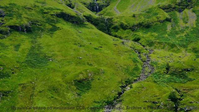 Леса раскрываются глубже, когда звучит такая мелодия - Blossoming -- Podington Bear -- Meet Podingto