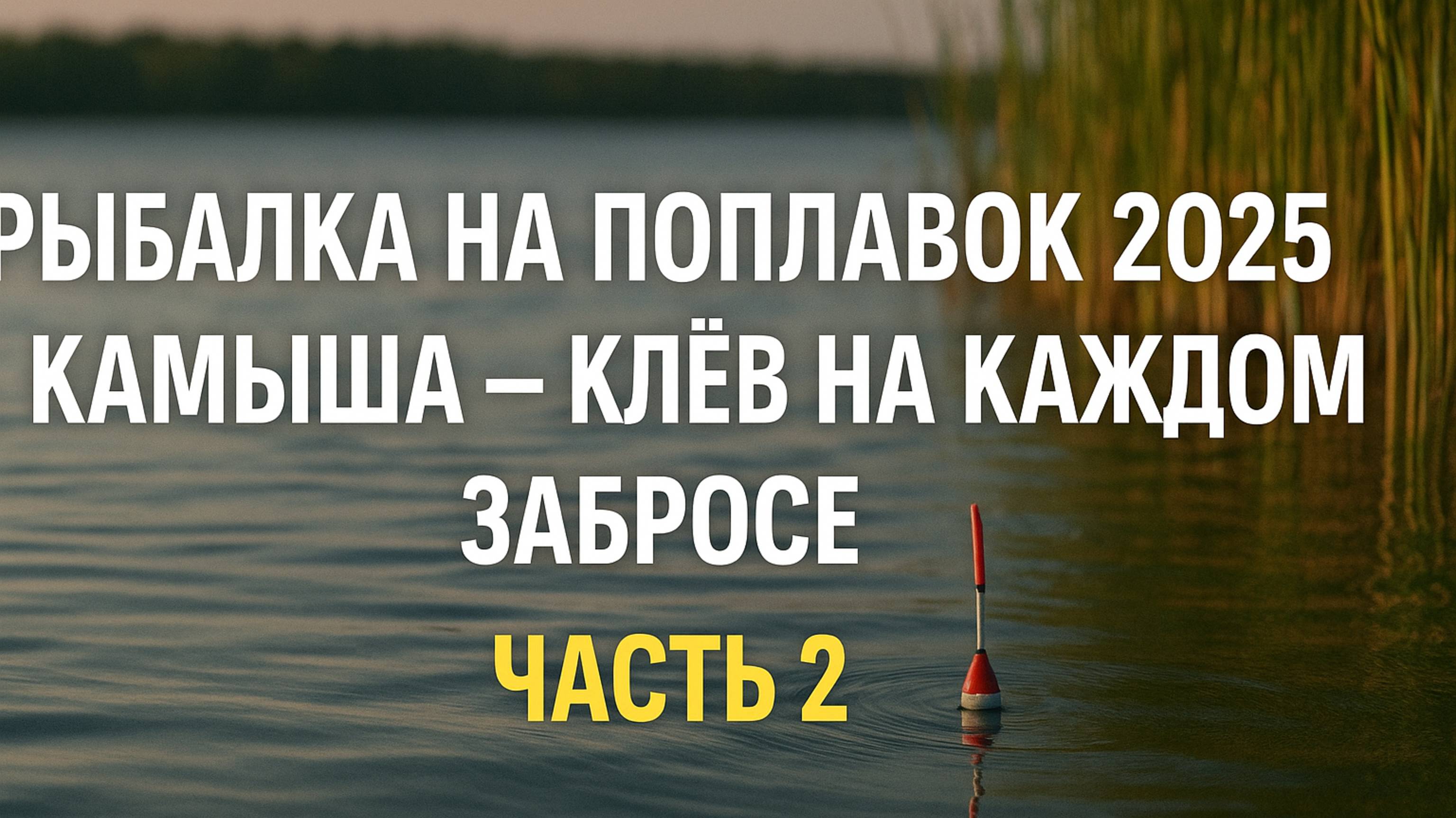 Рыбалка на поплавок 2025 у камыша — клёв на каждом забросе ЧАСТЬ 2