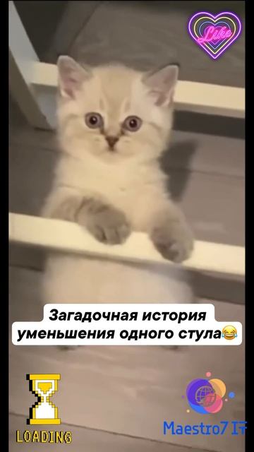 💻 Загадочная ситуация уменьшения стула ...