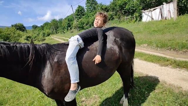 ИППОТЕРАПИЯ в Нулевом Километре.