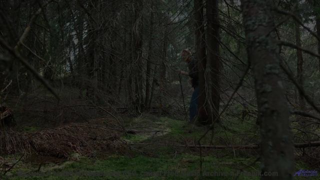 Сердце стучит в такт музыке на фоне этих видов - FATE -- LOPKERJO -- FATE