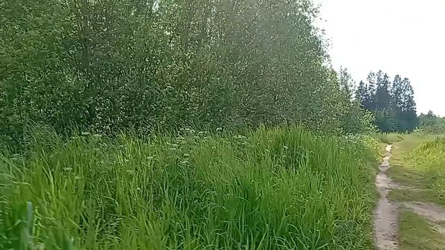 1000013968.mp4