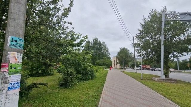 Белые розы после Вечера Памяти Юрия Шатунова в храм. 21.06.2025