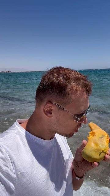 Манго + море = идеал ♥️♥️♥️