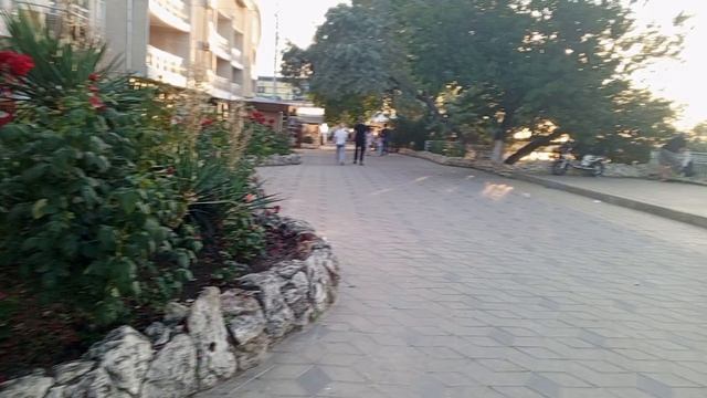 video_2025-06-20_19-56-30 (8)