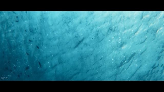 TXBXL - MADAGASCAR | Godzilla vs Kong