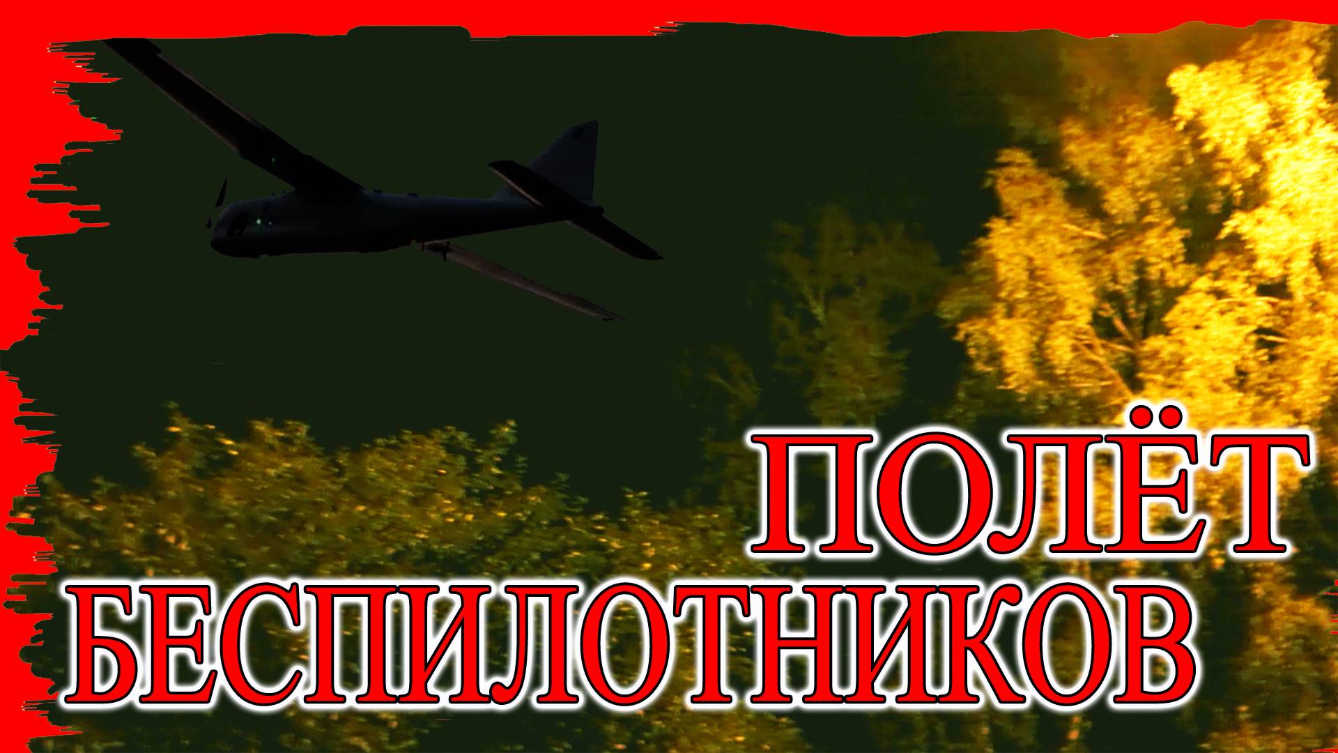 Полет в Россию беспилотников самолётного типа