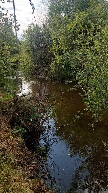 beautiful river