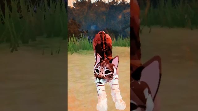 Эдит :3