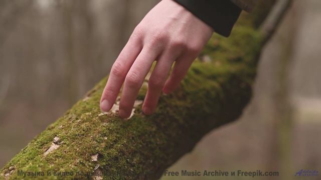 Эта мелодия - как мост между двумя душами... - Rise up, none ov your Bones are broken - Alternate --
