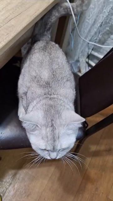 1000002821.mp4