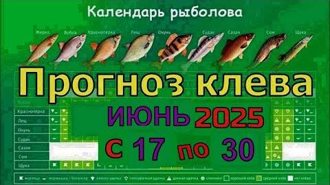 Когда лучше клюет рыба на этой неделе с 20 июня по 30 Июня 2025