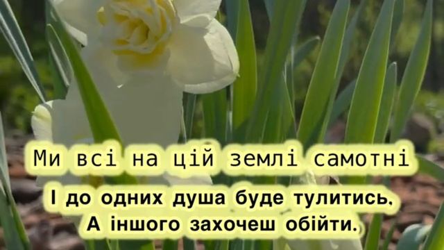 Ми всі на цій землі самотні ❤️ християнські вірші