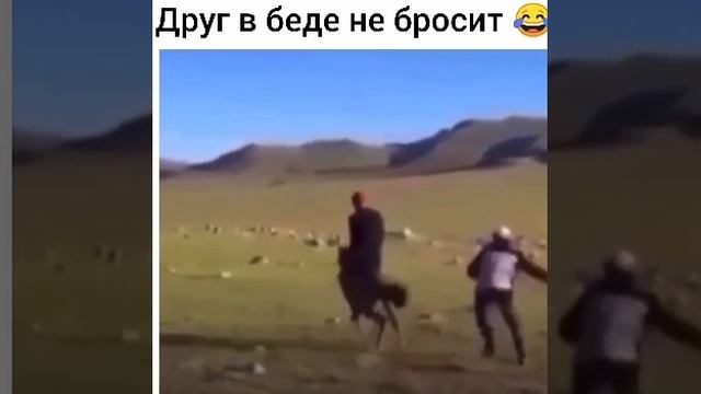 Друг в беде не бросит на коне