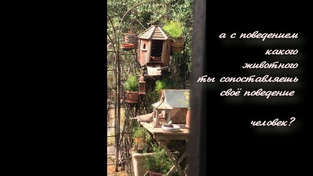 20-й фильм дополнение