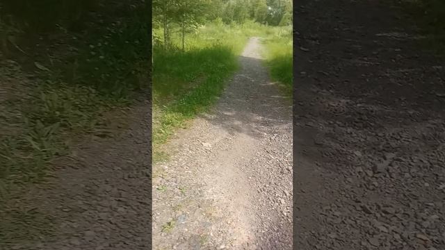 Я на зоброшке