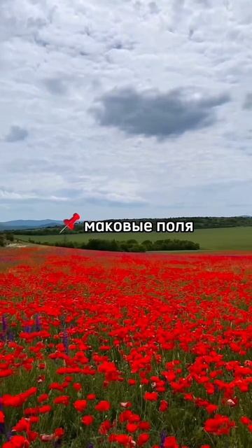 Что есть интересного в Крыму