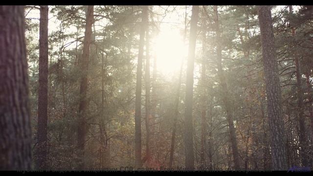 Поля разгораются красками вместе с мелодией - Secret Hopes -- Anthem of Rain -- Unnamed album