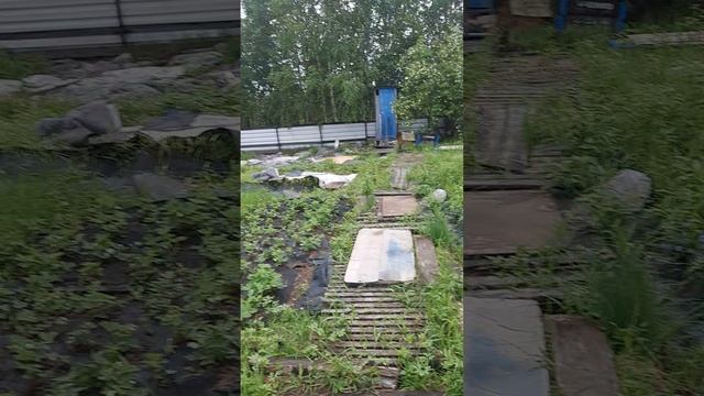 1000097511.mp4