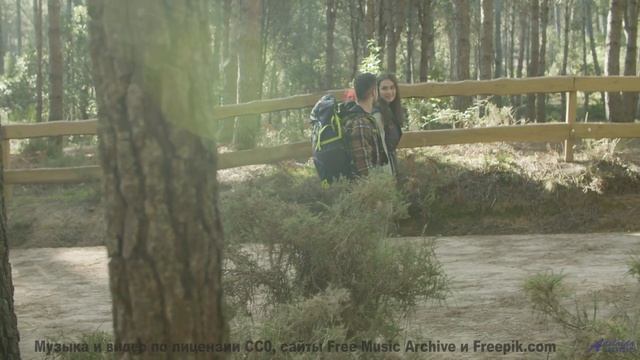 Музыка раскрывает Землю так, как не покажет ни один фильм - Assassinio in orbita (reprise) -- Fourmi
