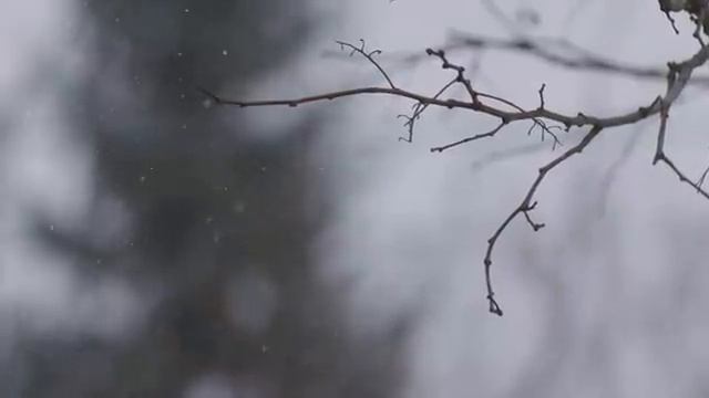 Шелковые звуки природы, гармония ветра и воды — Часть 10