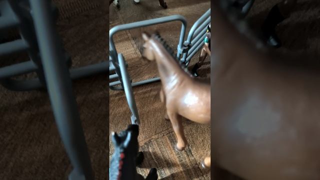 1000012414.mp4