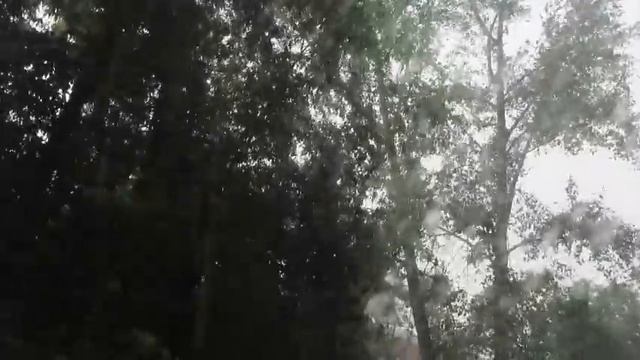 Ветрище и ливень был