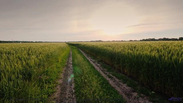 Музыка ведёт сквозь пространство сильнее любого полёта - This-Way-For-Joyous-Street -- Ketsa -- Bedd
