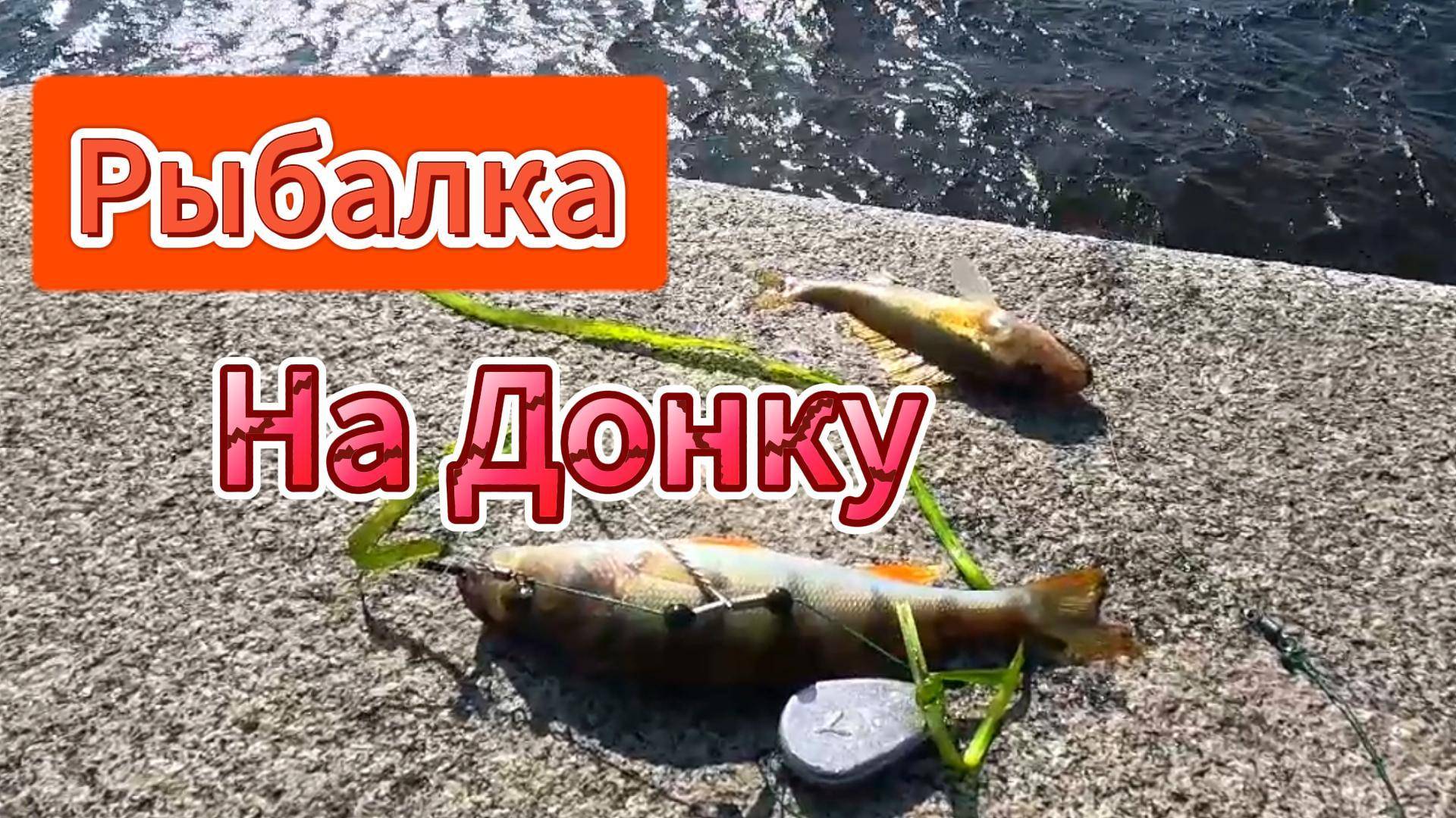 ДОНКА ФИДЕР БЕЛАЯ РЫБА РЕКА НЕВА ОБЗОР 1 ЧАСТИ РЫБАЛКИ ВЕЧЕРОМ ОКУНЬ ПЛОТВА ГУСТЕРА ЁРШ