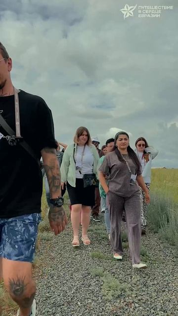 Дикие лошади, запах полыни и дух степи 🌼