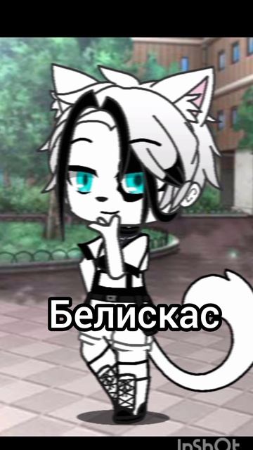 супер команда!