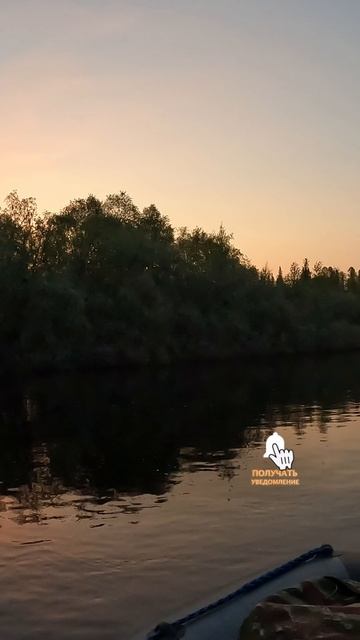 Тишина. Пение птиц.