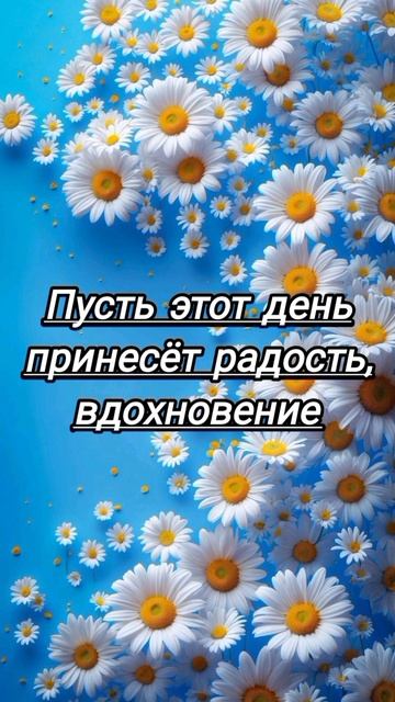 Всех с новым днем. Всех с добрым утром.🌞