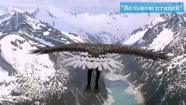 Вольною_птицей_