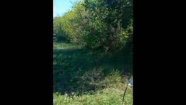 1000256747.mp4
