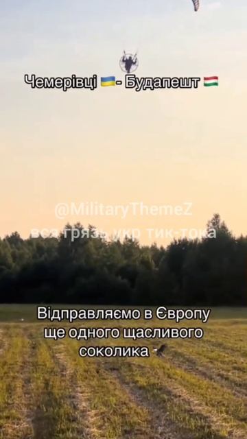 Украинцы летят в Венгрию.